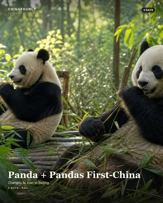 Panda + Pandas First-China private China route