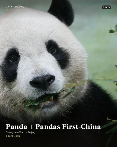 Panda + Pandas First-China