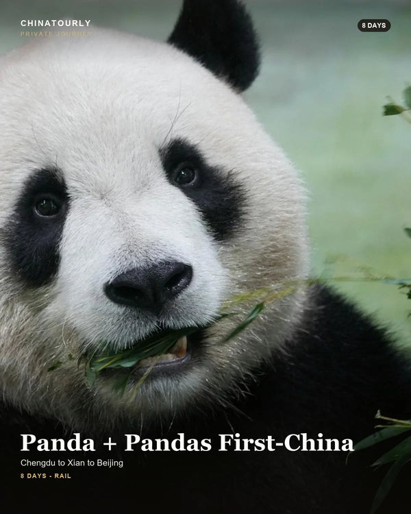 Panda + Pandas First-China