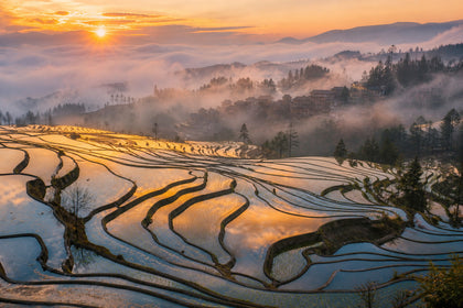 Yuanyang